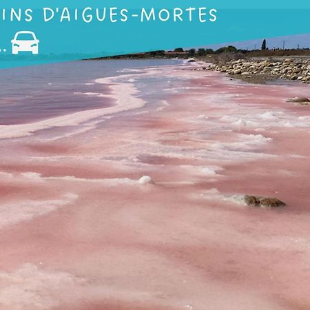 Le Flamant Rose - Cosykaz Aigues-Mortes Exterior photo