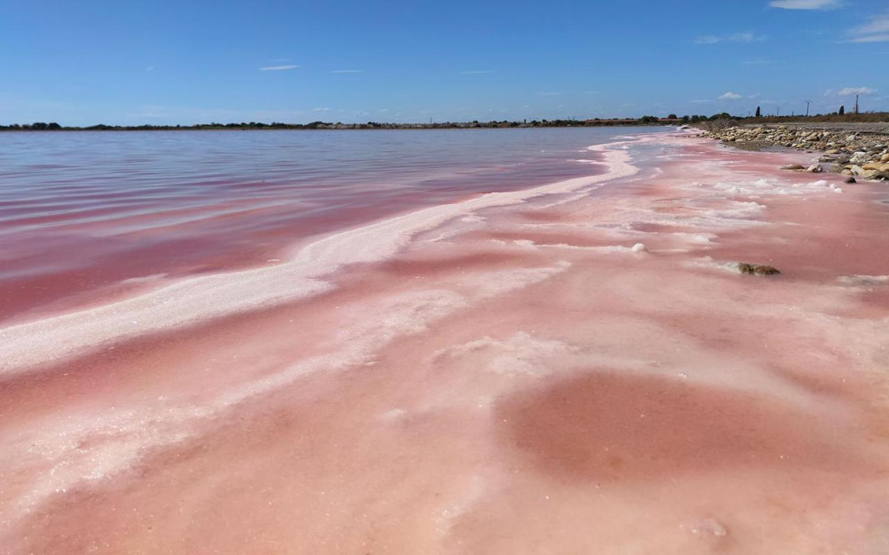 Le Flamant Rose - Cosykaz Aigues-Mortes Exterior photo